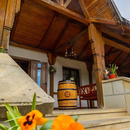 Casa Elena - Resort & Spa Voroneț Eksteriør billede