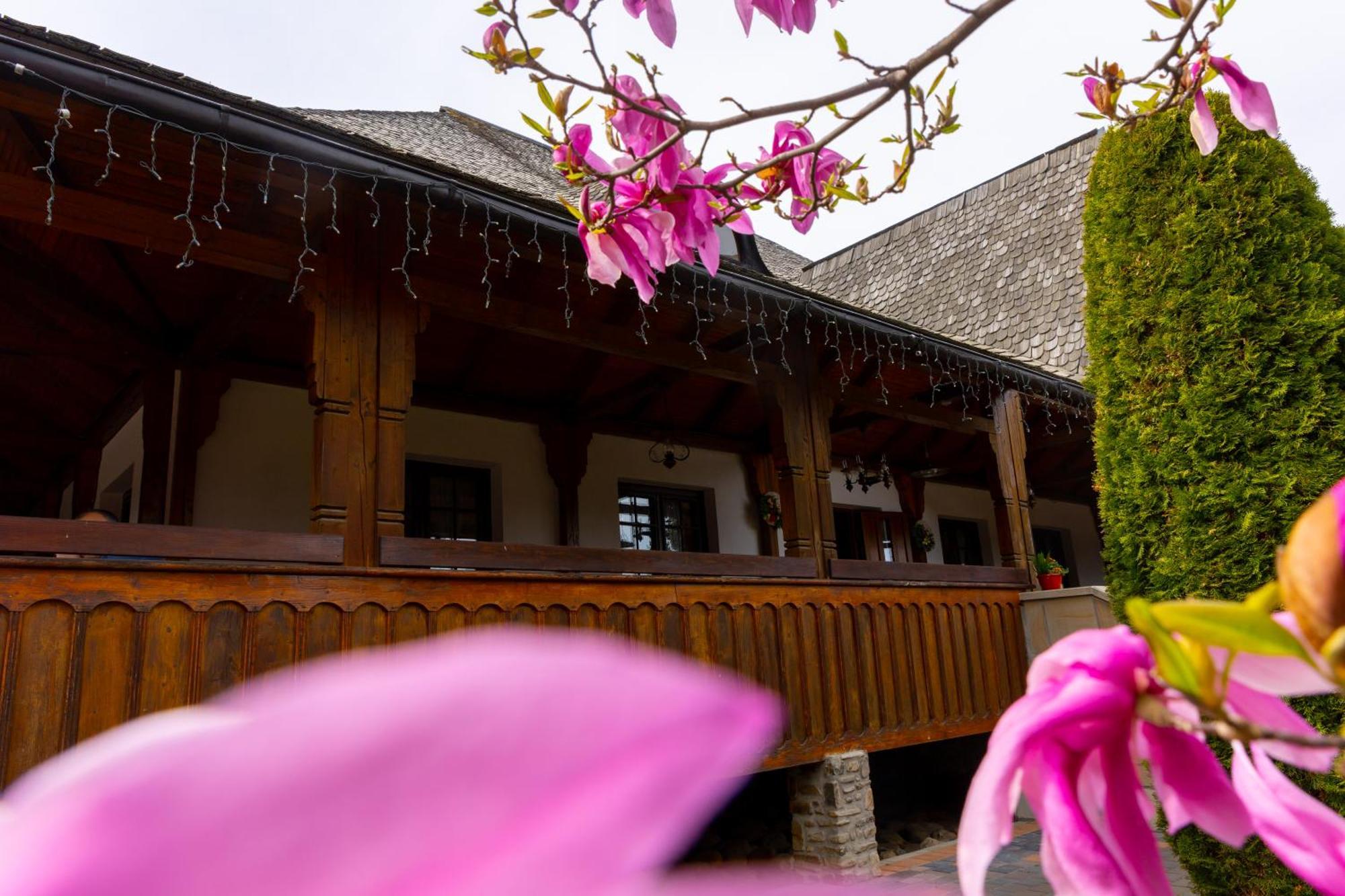 Casa Elena - Resort & Spa Voroneț Eksteriør billede
